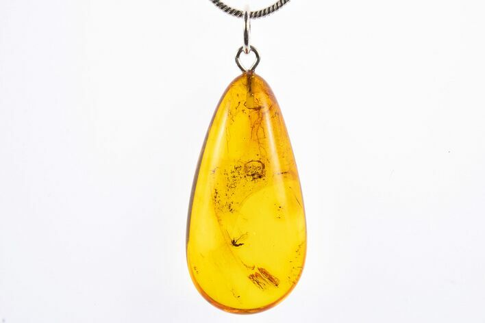 Polished Baltic Amber Pendant (Necklace) - Contains Two Flies! #322034